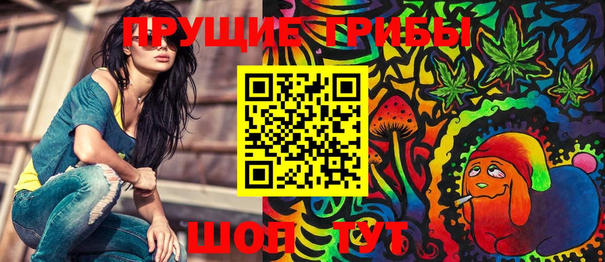 Псилоцибиновые грибы Cubensis  Вход с VPN  Михайловка 